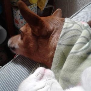 Meet your Posher, Margaret